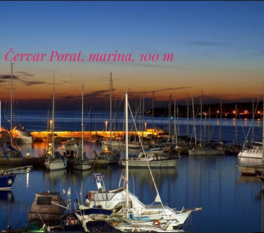Nokturno Apartment, Self Check-In Poreč Zewnętrze zdjęcie