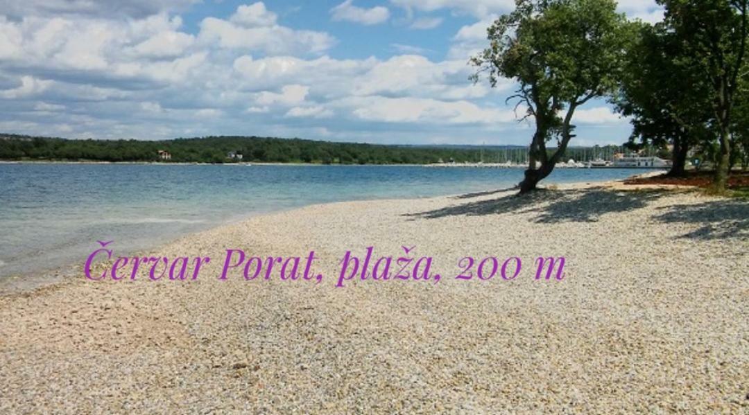 Nokturno Apartment, Self Check-In Poreč Zewnętrze zdjęcie
